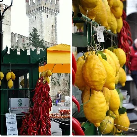 Fiorita *
