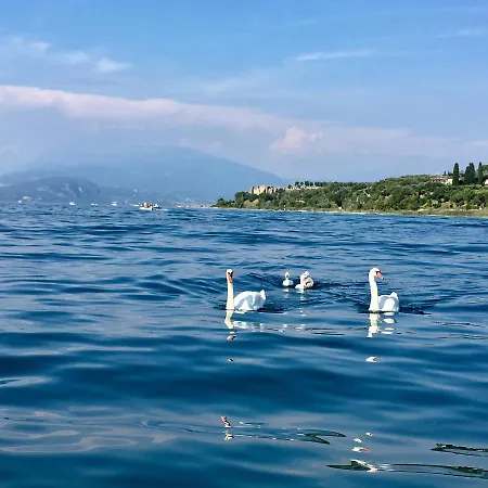 Fiorita Sirmione